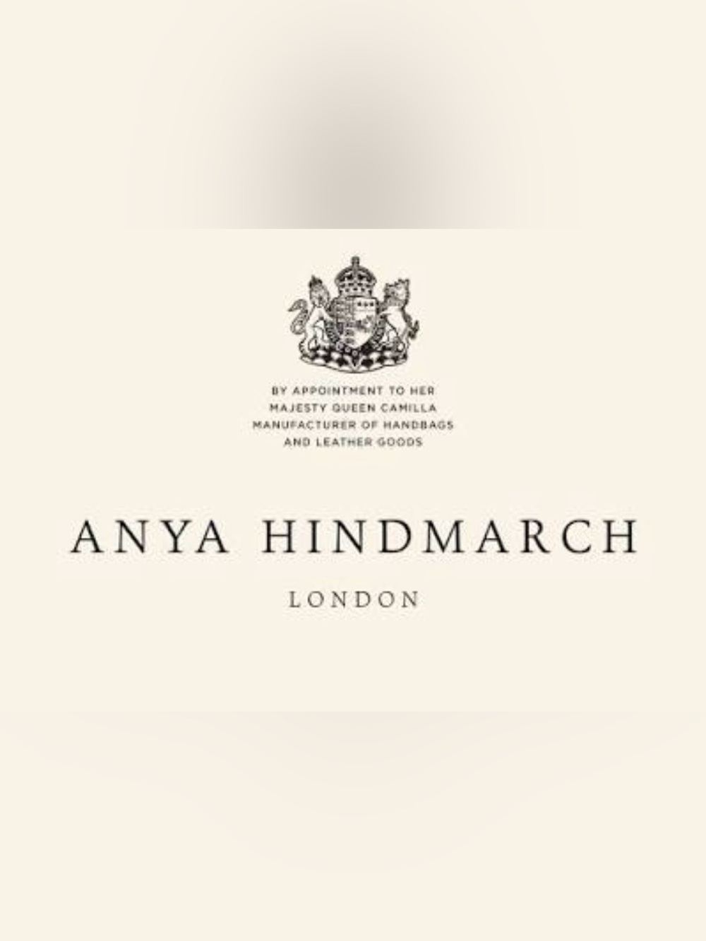 ANYA HINDMARCH Pistachio Green Metallic Neeson Tasseled Clutch Bag - Picture 10 of 10